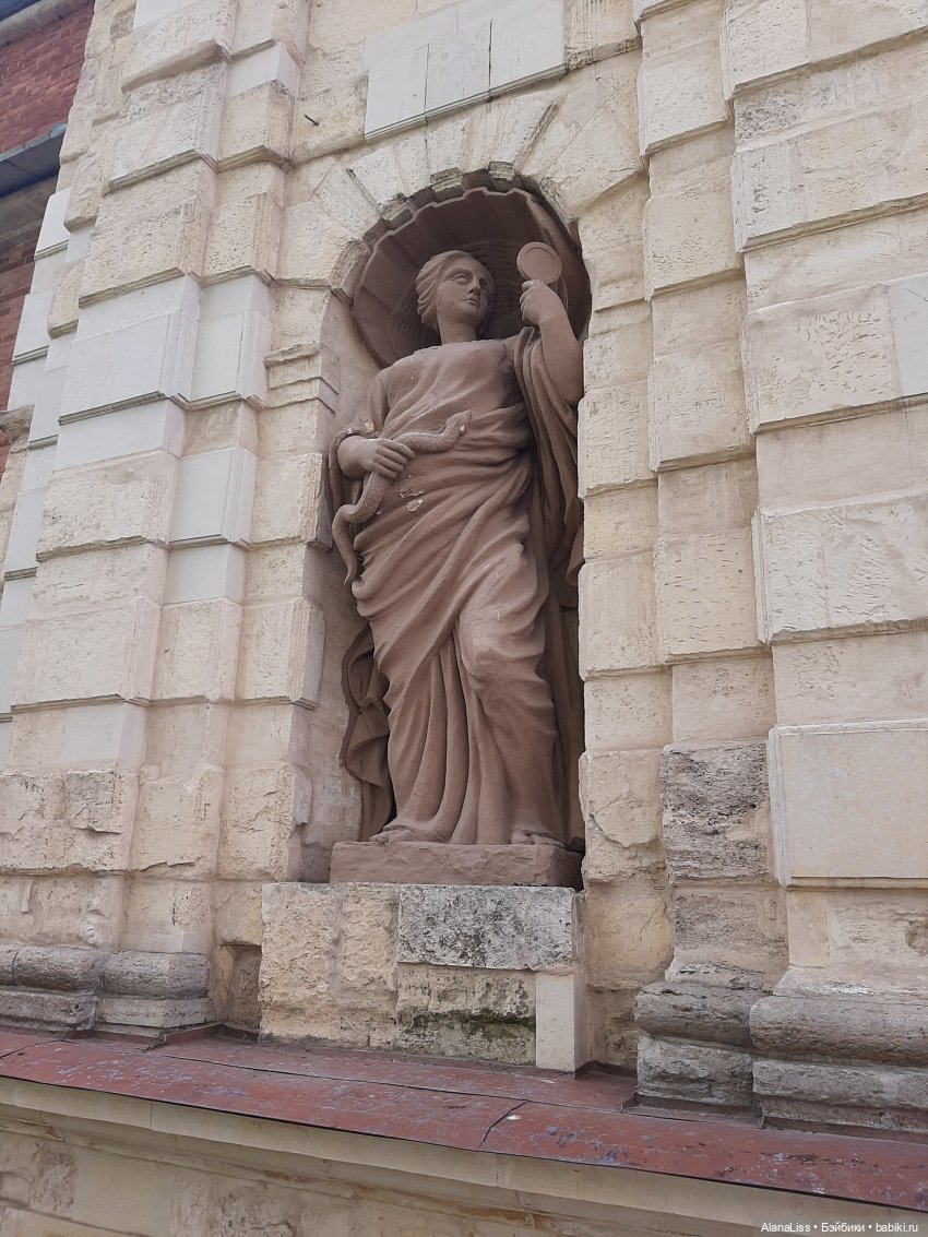 Санкт-Петербург - гордая белая птица (фото 9)