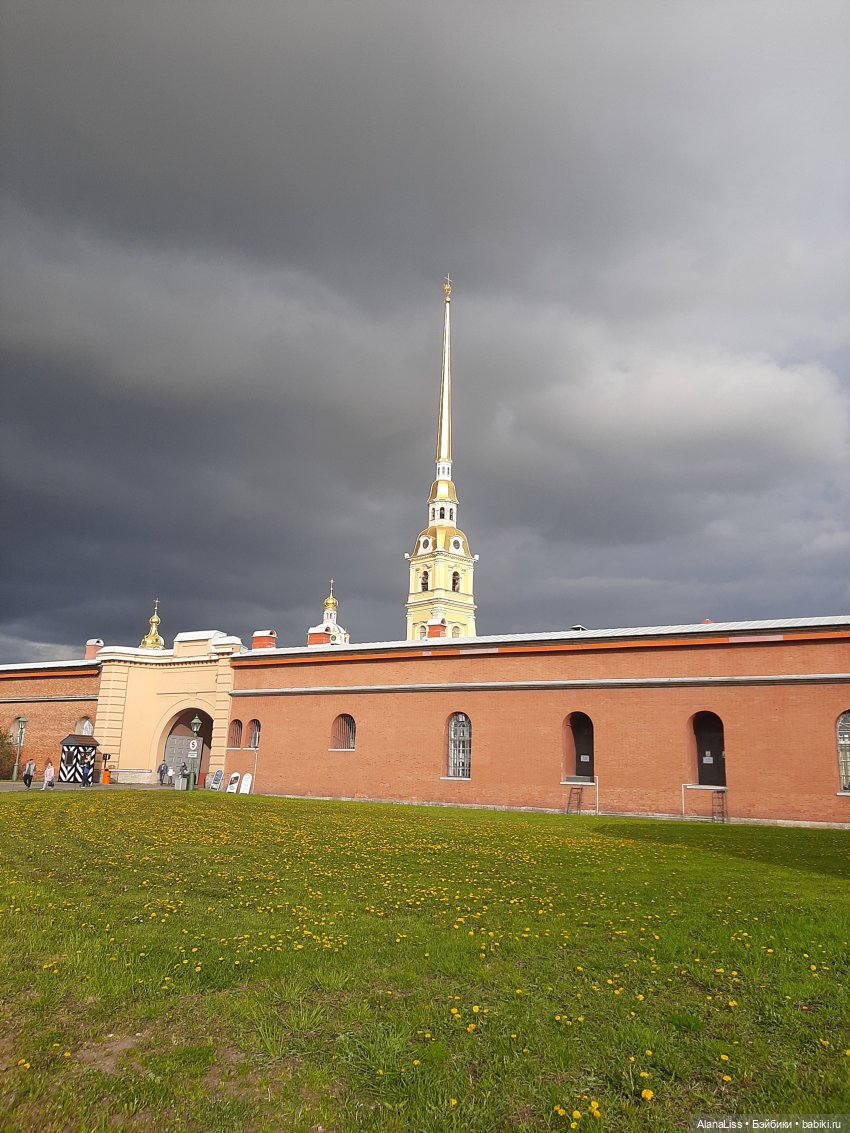 Санкт-Петербург - гордая белая птица