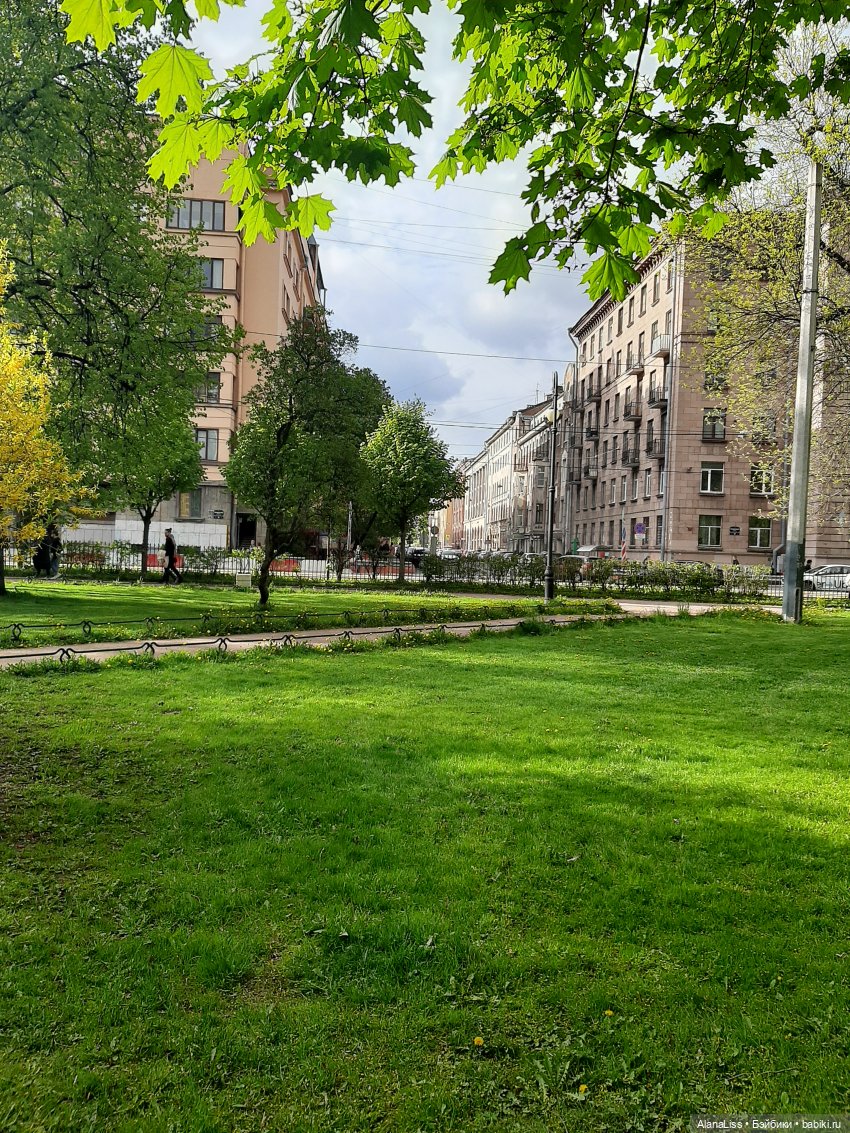 Санкт-Петербург - гордая белая птица (фото 2)