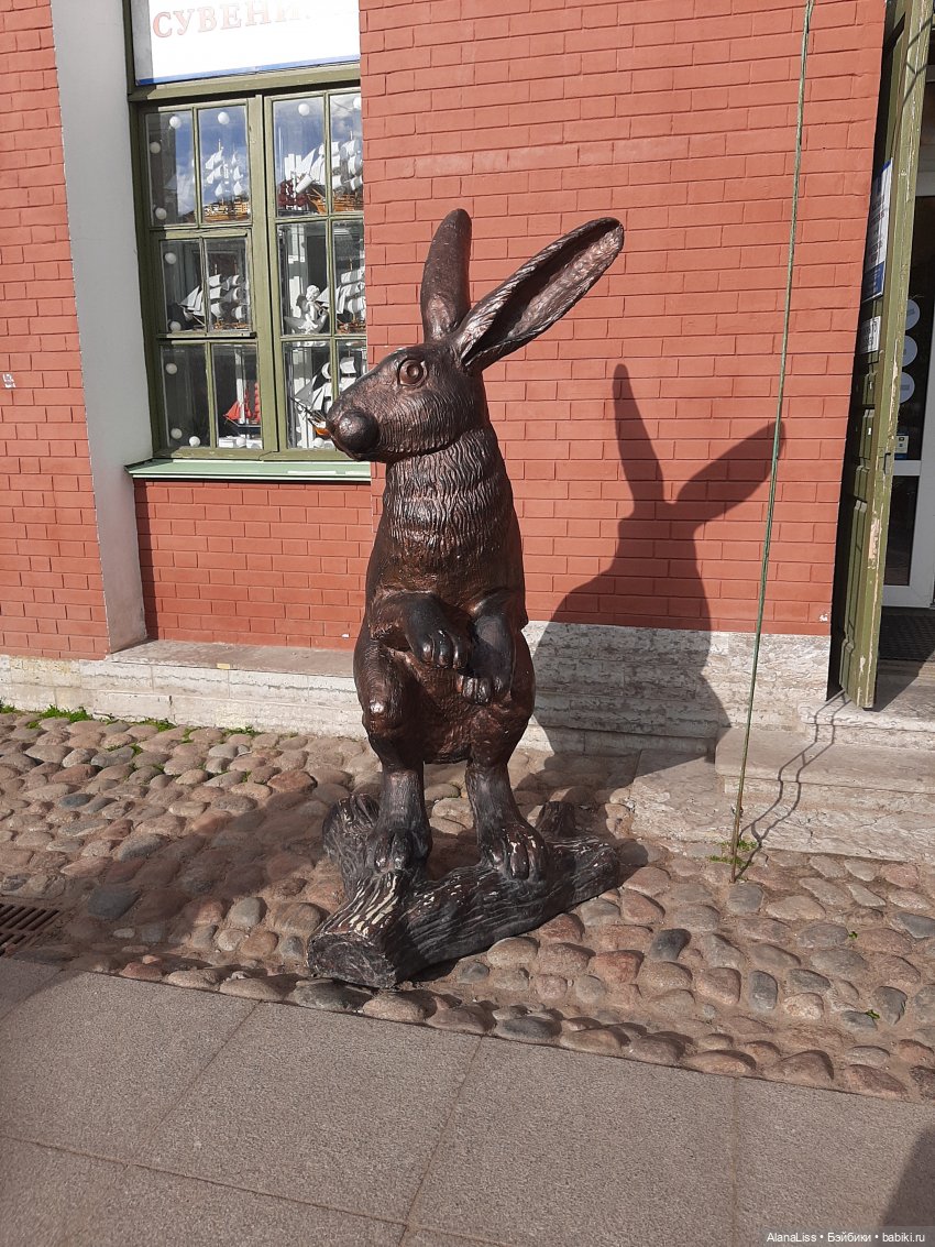 Санкт-Петербург - гордая белая птица (фото 10)