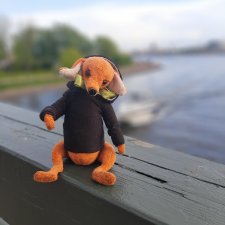 Санкт-Петербург - гордая белая птица