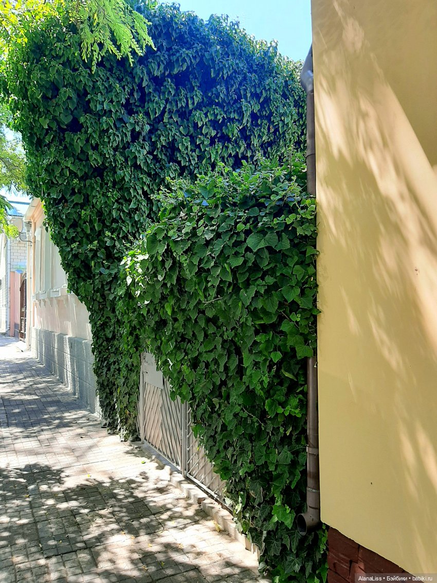 Лето, море, солнце! Прогулки по Анапе и Новороссийску