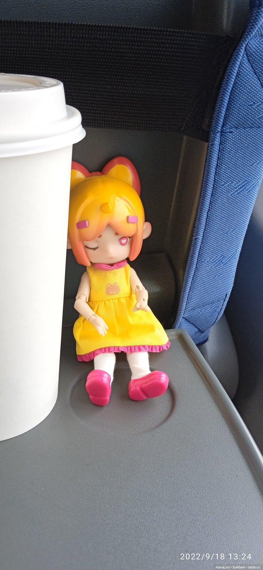 Осень в Петергофе или большое путешествие маленькой куклы