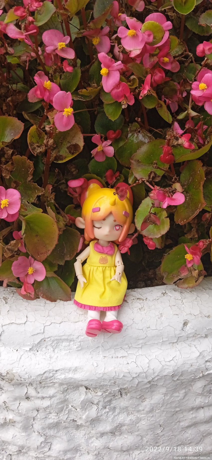 Осень в Петергофе или большое путешествие маленькой куклы (фото 10)