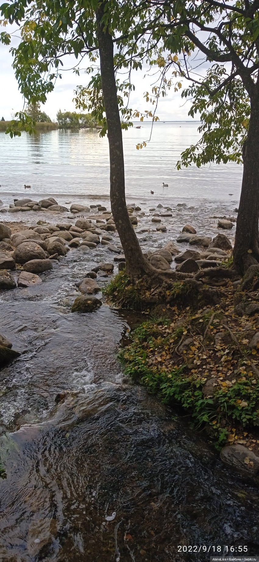 Осень в Петергофе или большое путешествие маленькой куклы