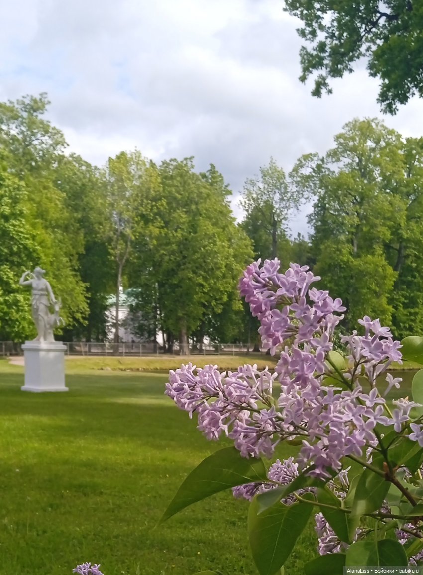 Время года - лето — Туризм и путешествия: фотоотчеты из поездок