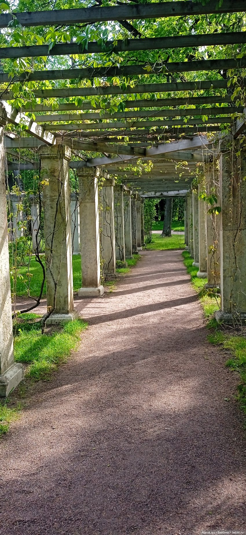 Время года - лето — Туризм и путешествия: фотоотчеты из поездок (фото 9)