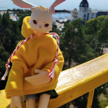 Заячье лето. Зеленогорск