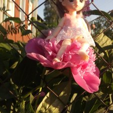 Моя любовь, кукла Лёля - принцесса пионов