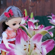 Лёлькины обновки или лилейная принцесса