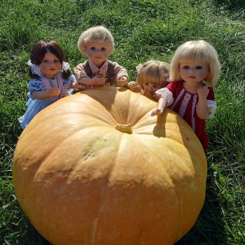 Вот это тыква!