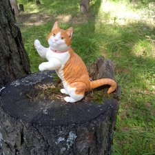 Лето кота Рыжика