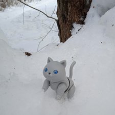 Марсель и снежная прогулка