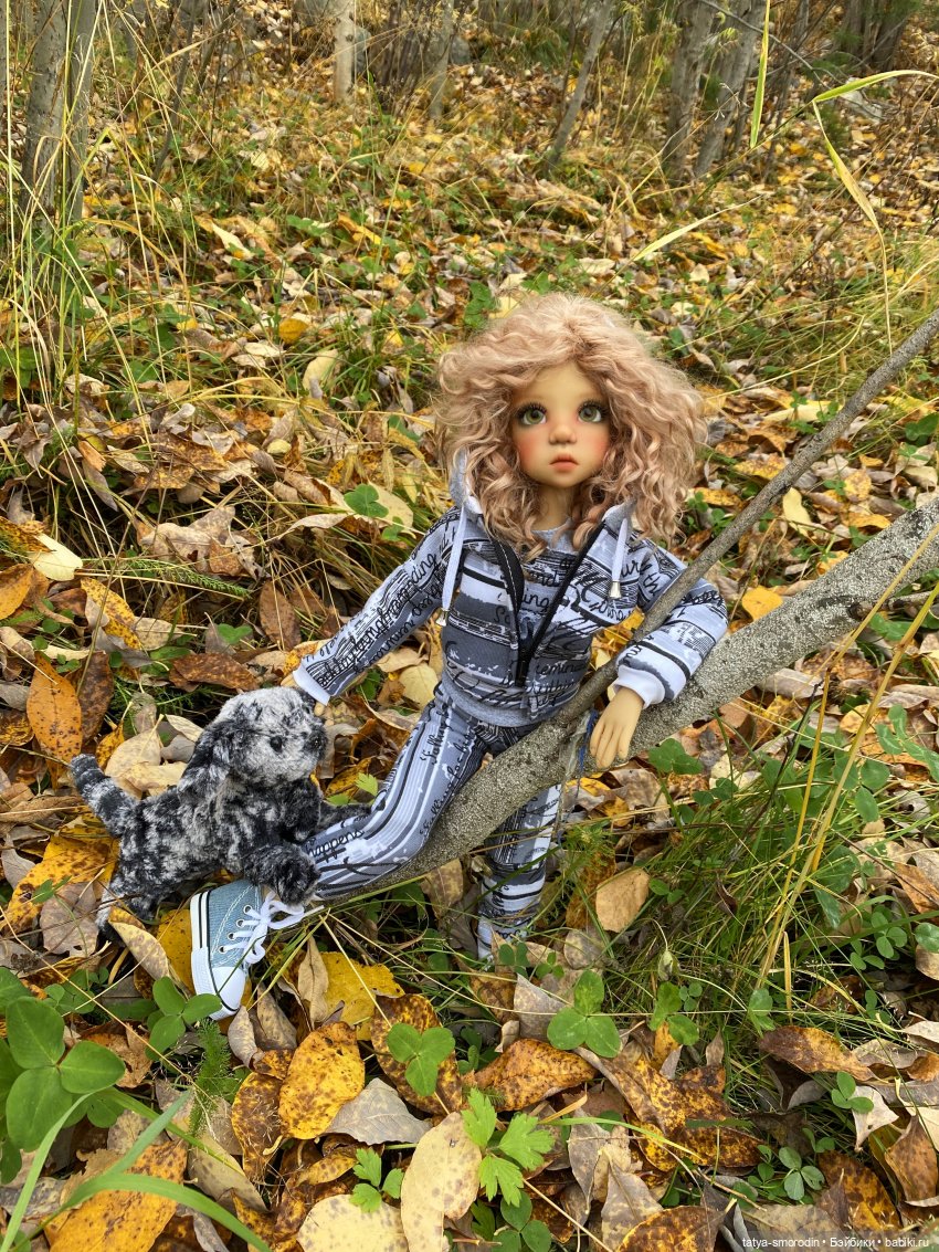 Осенние тусовочки — Куклы Kaye Wiggs (Кайе Виггс): авторские BJD (БЖД) (фото 6)