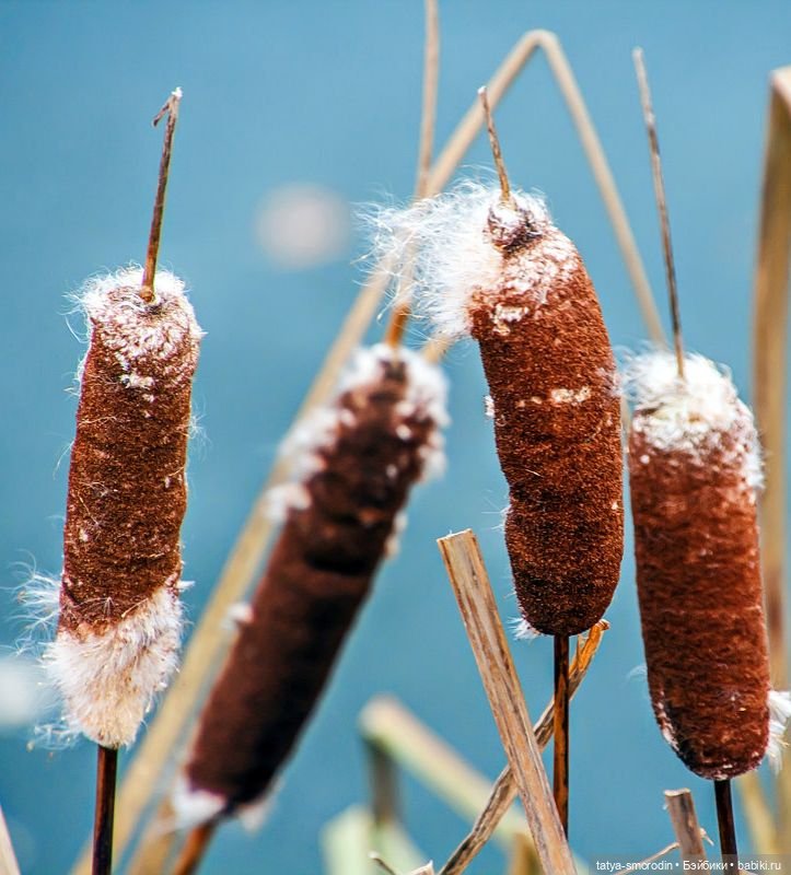 Игрушки, которые не игрушки