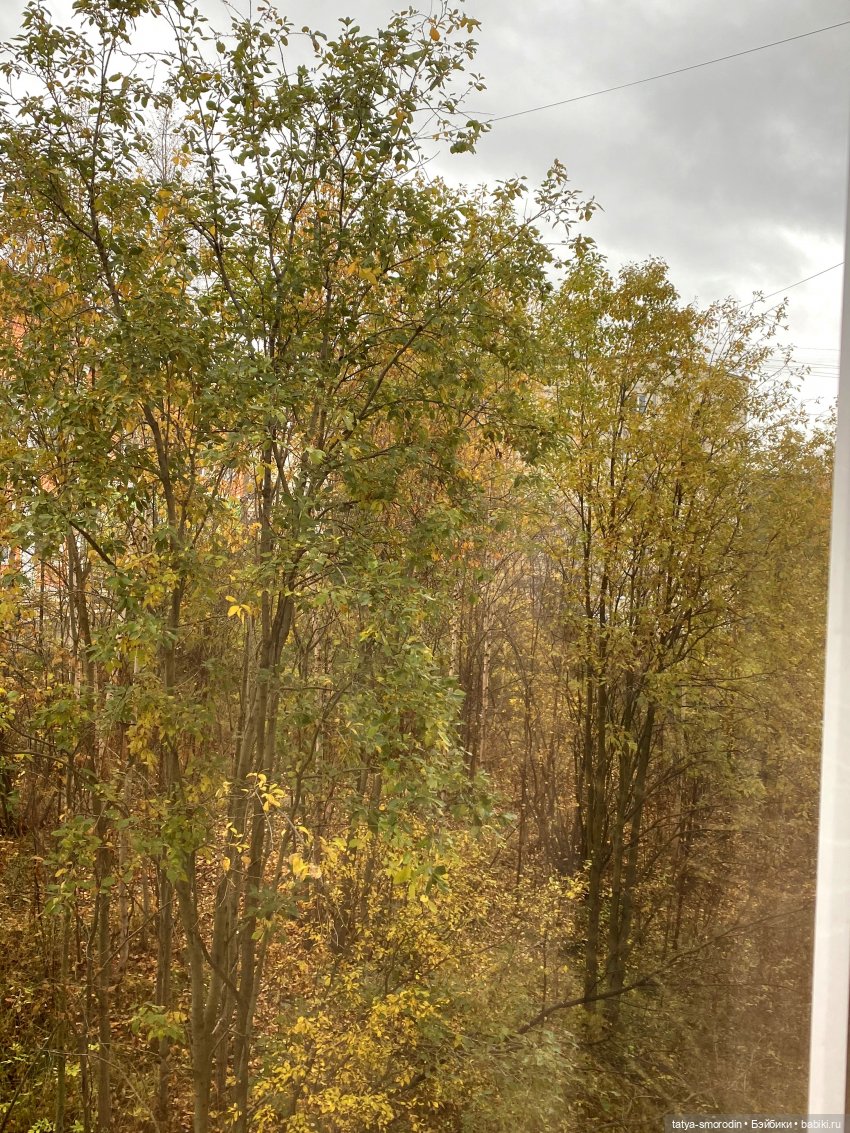 "...Очей очарованье!" (Осень-2022) (фото 3)