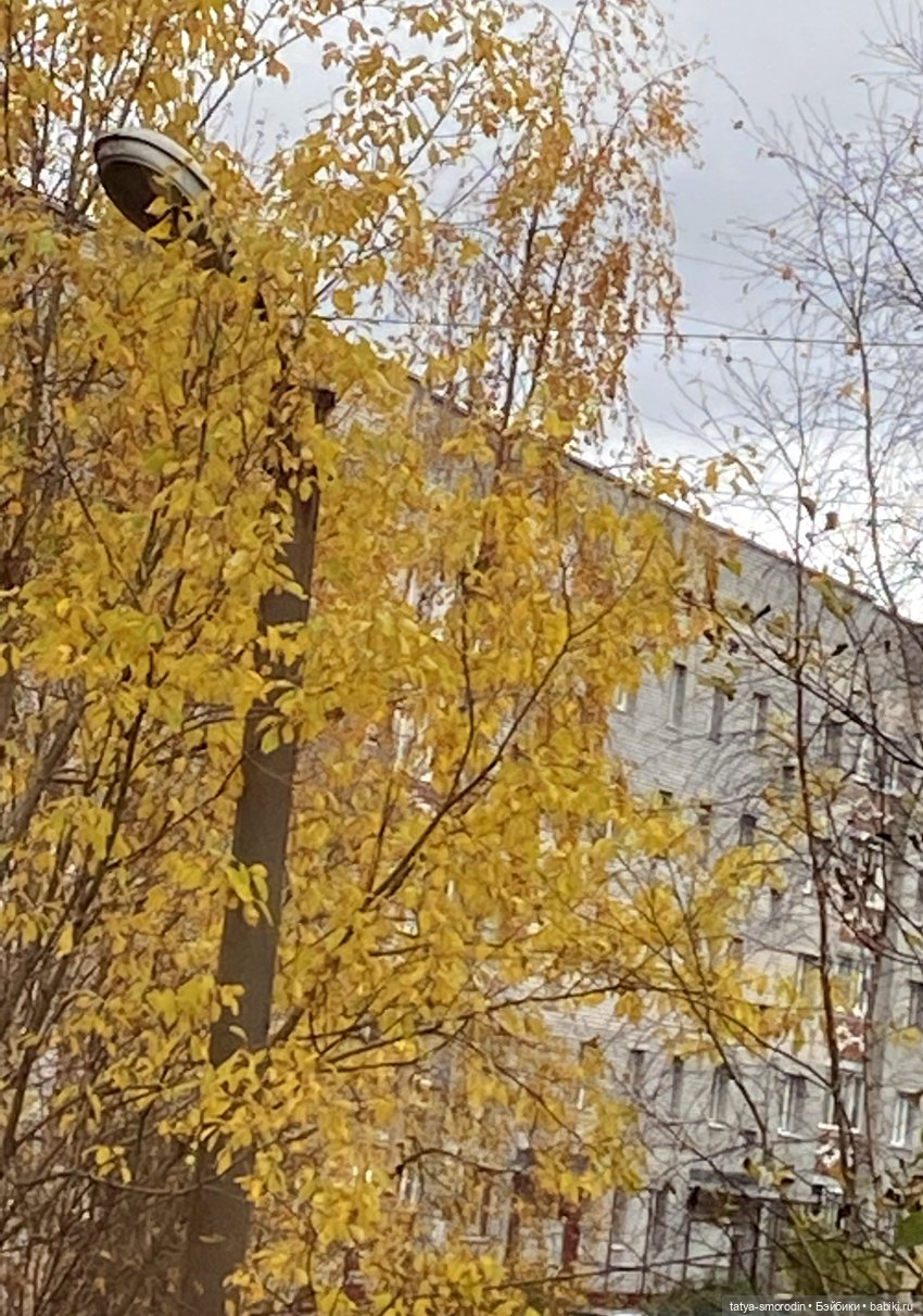 "...Очей очарованье!" (Осень-2022) (фото 2)