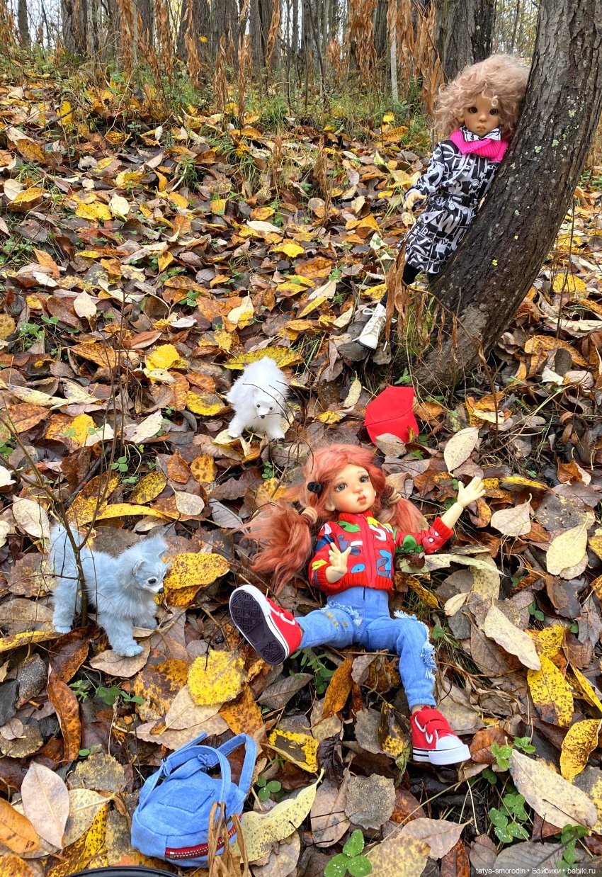 Четвертая подружка — Куклы Kaye Wiggs (Кайе Виггс): авторские BJD (БЖД)
