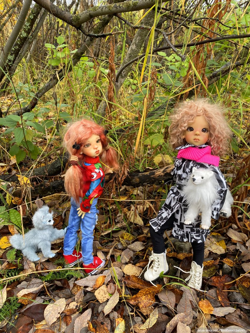 Четвертая подружка — Куклы Kaye Wiggs (Кайе Виггс): авторские BJD (БЖД)