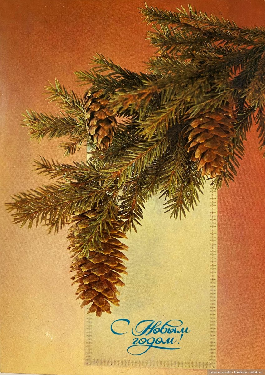 С Новым годом из прошлого (фото 4)