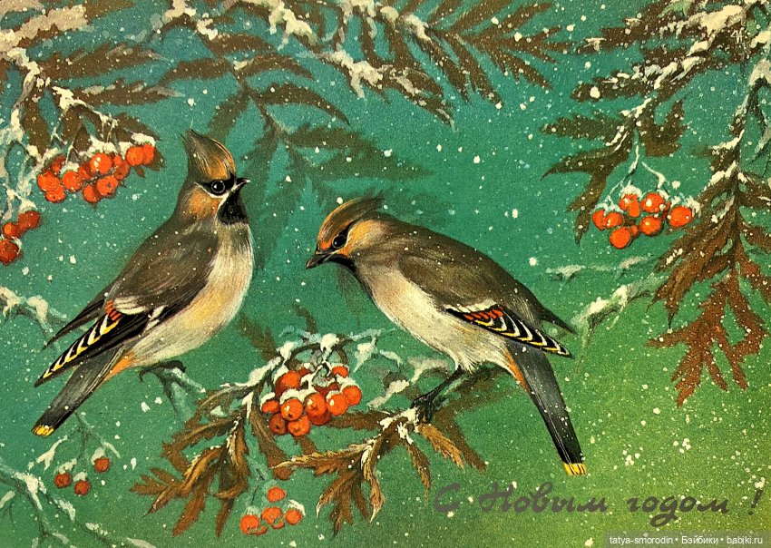 С Новым годом из прошлого