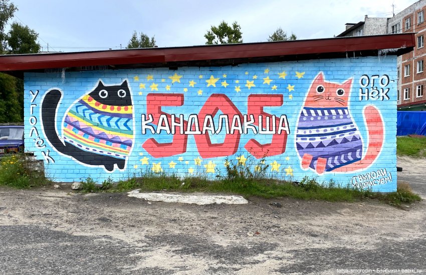 Когда стало жалко "котиков"