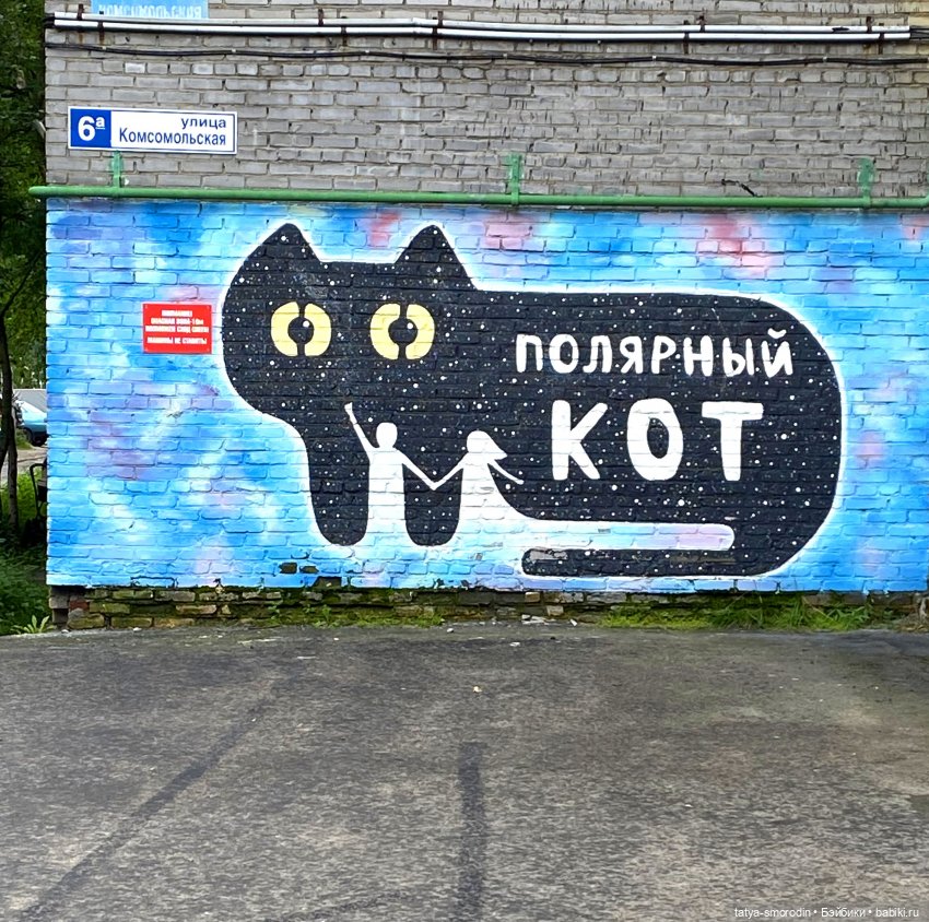 Когда стало жалко "котиков" (фото 10)