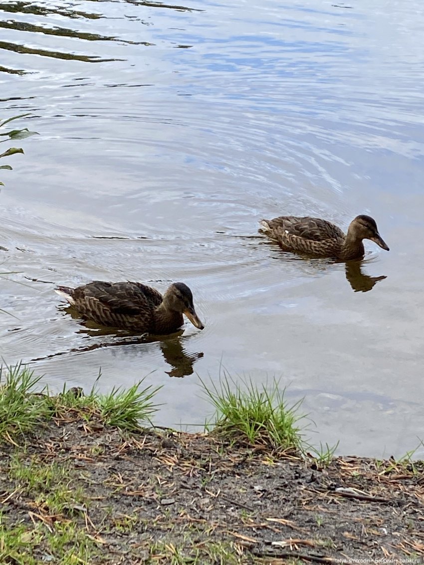 Просто модельки Фото-подиум 6 +(Загородное)