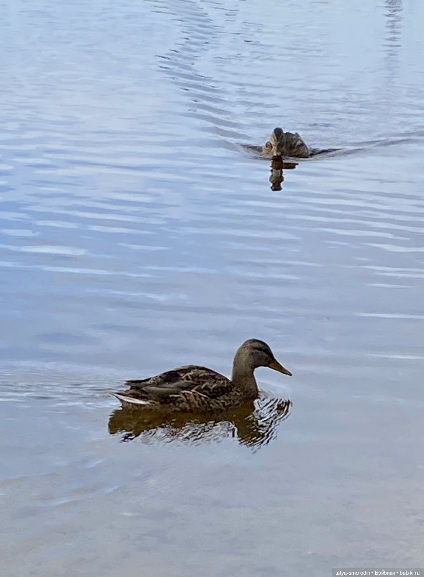 Просто модельки Фото-подиум 6 +(Загородное)