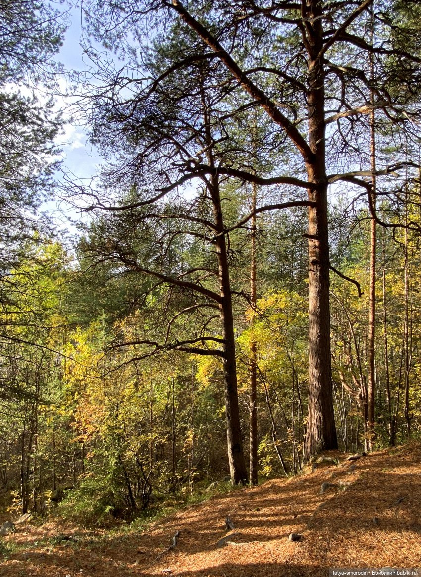 На свободе — Игрушки в смешанной технике (мех и глина): Арт