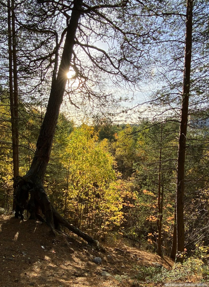 На свободе — Игрушки в смешанной технике (мех и глина): Арт