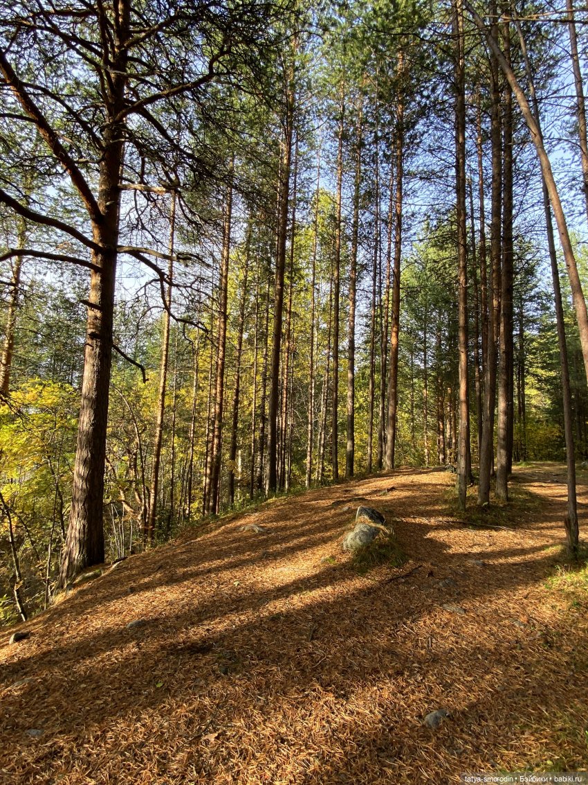 На свободе — Игрушки в смешанной технике (мех и глина): Арт