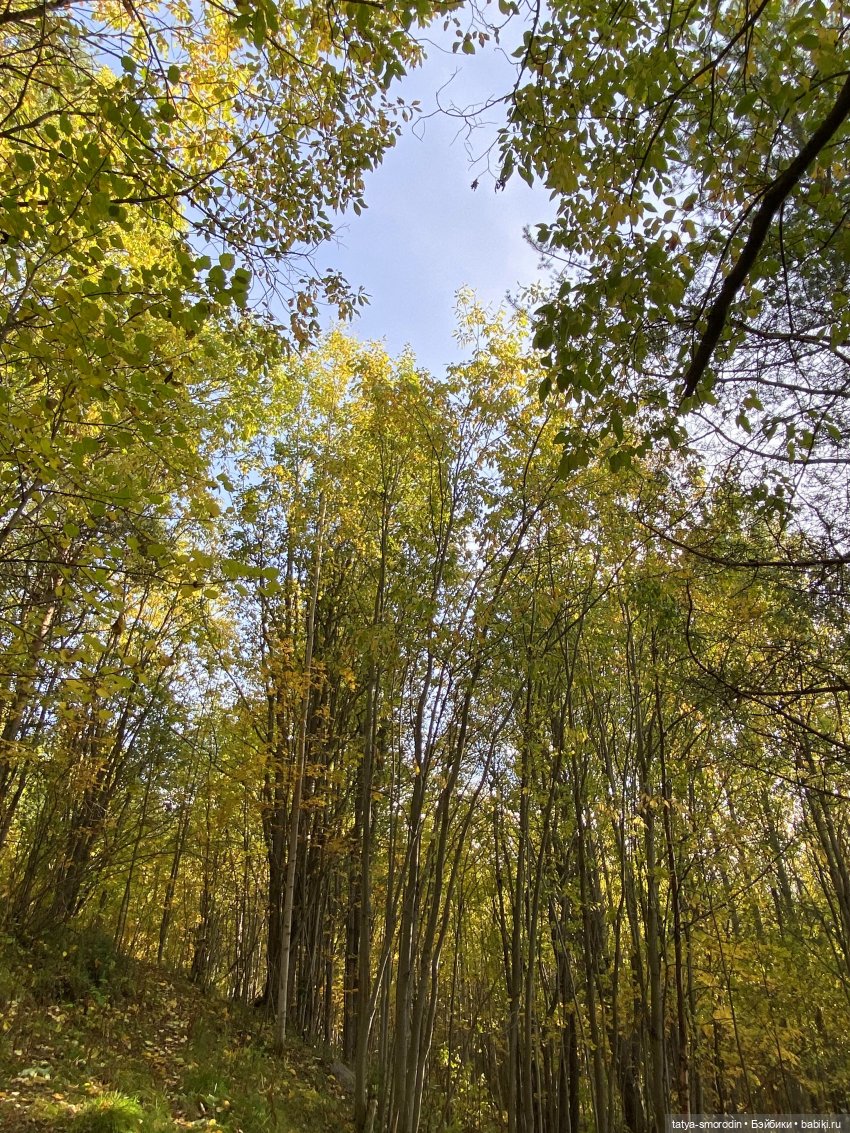 На свободе — Игрушки в смешанной технике (мех и глина): Арт