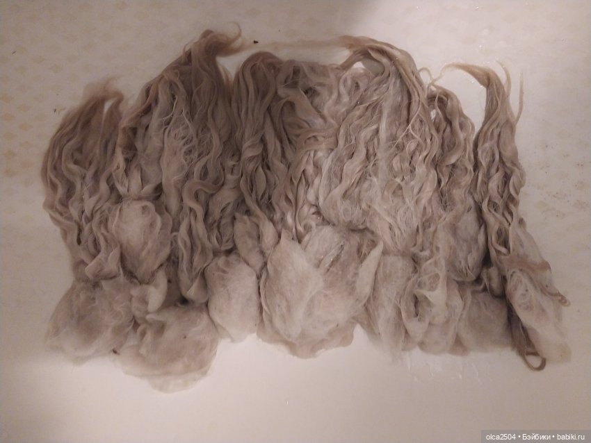 Превращение руна ангорской козочки в шелковые локоны (фото 4)