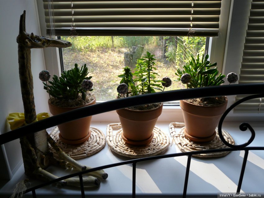 "Всё равно нам нравится жираф» Знакомство с Соломоном и Лучиком (фото 7)