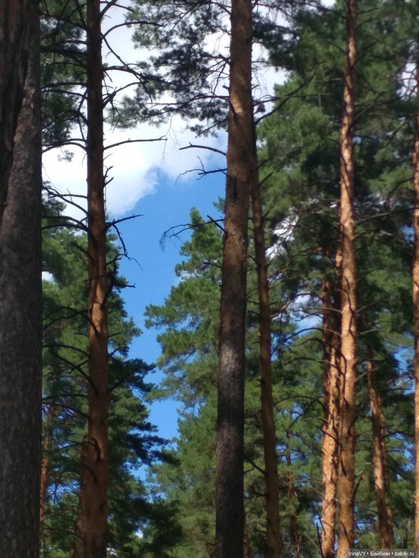 Несовершенная красота Созданные лесом и рекой