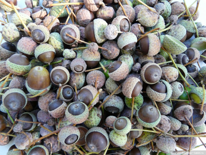 Птицы и рыбы. Игрушки-броши, или броши-игрушки (фото 9)