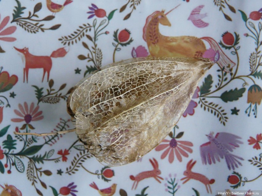 Подарки друзьям. Что дарят люди, увлечённые рукоделием