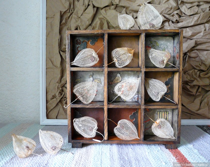 Витринка для игрушек "Физалис" в винтажном стиле