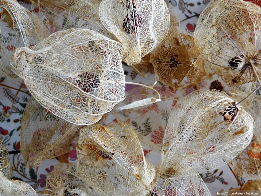 Витринка для игрушек "Физалис" в винтажном стиле