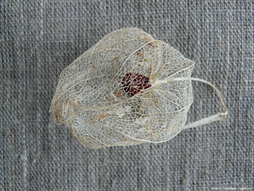 Витринка для игрушек "Физалис" в винтажном стиле (фото 2)