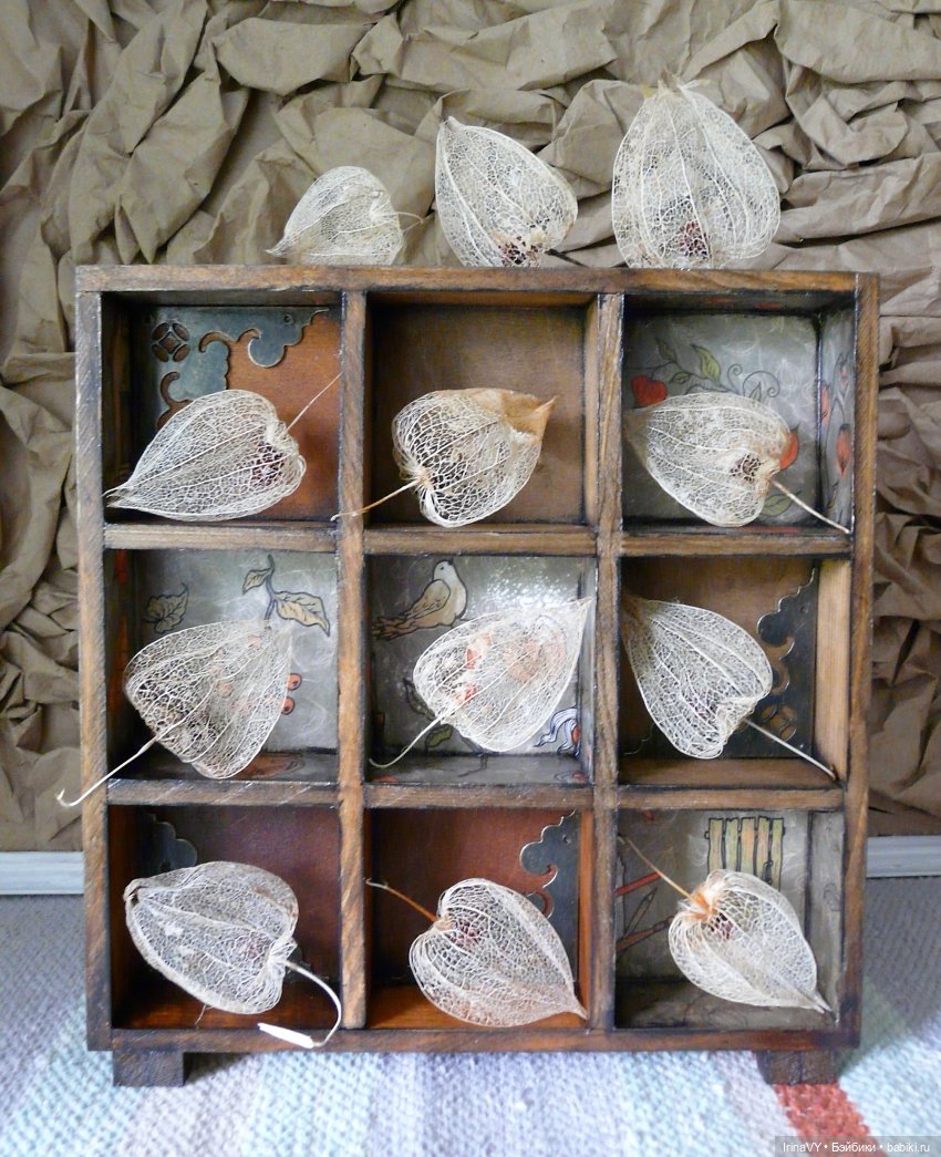 Витринка для игрушек "Физалис" в винтажном стиле