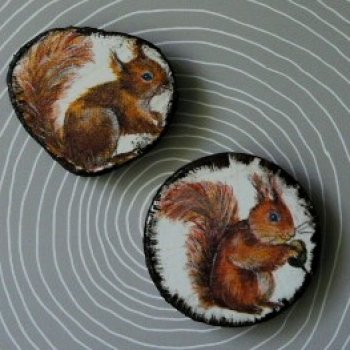 Витринка для игрушек "Белки"