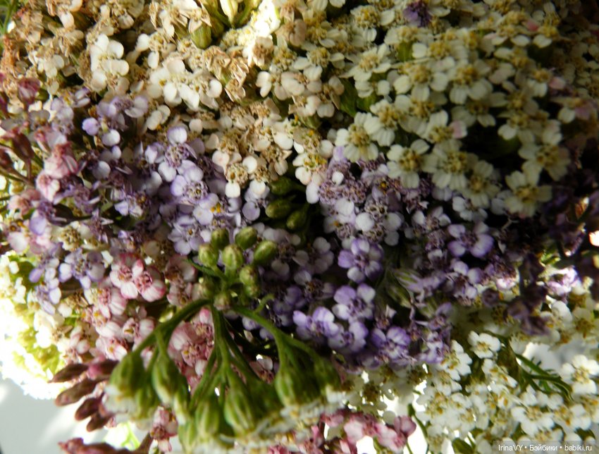 Переделка заборчика. Красим цветы | Бэйбики Переделка заборчика. Красим цветы