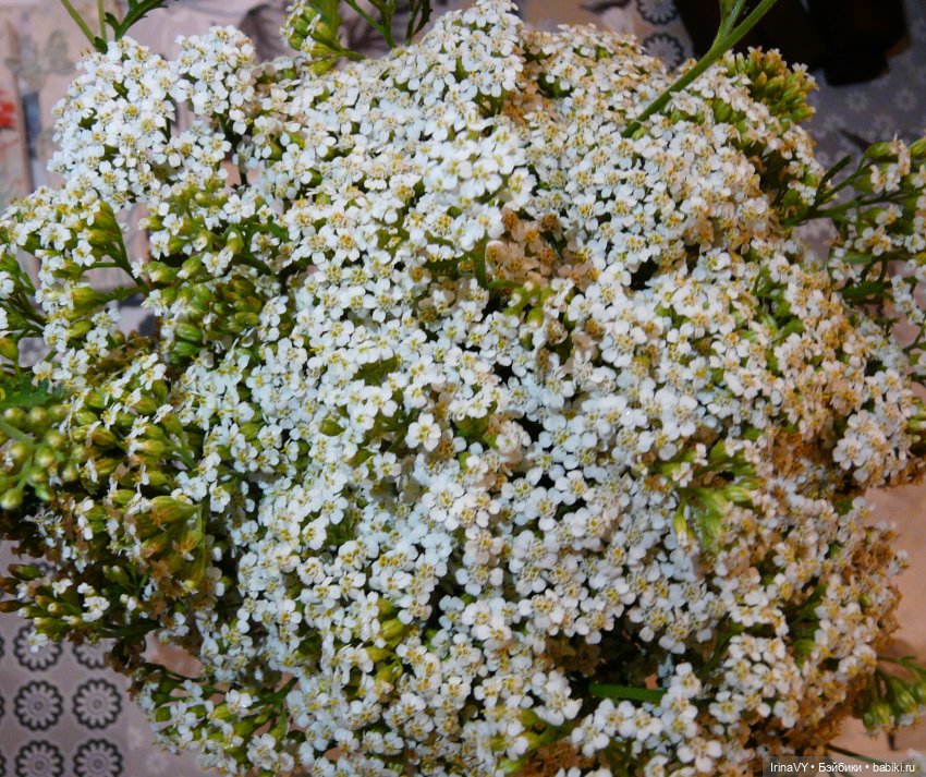 Переделка заборчика. Красим цветы | Бэйбики Переделка заборчика. Красим цветы (фото 10)