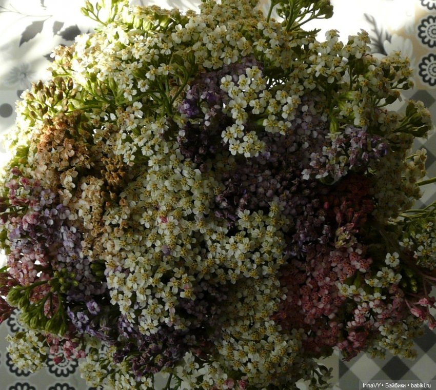 Переделка заборчика. Красим цветы | Бэйбики Переделка заборчика. Красим цветы