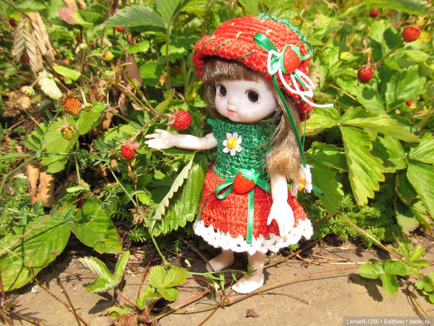 Приключения на даче — Куклы Baboliy (Баболи (фото 2)