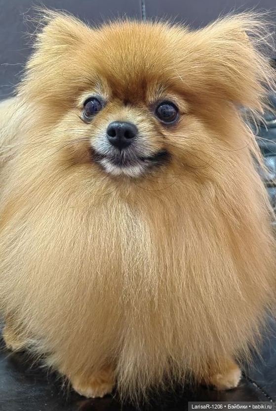 Коробка с сюрпризом — Куклы Baboliy (Баболи (фото 10)