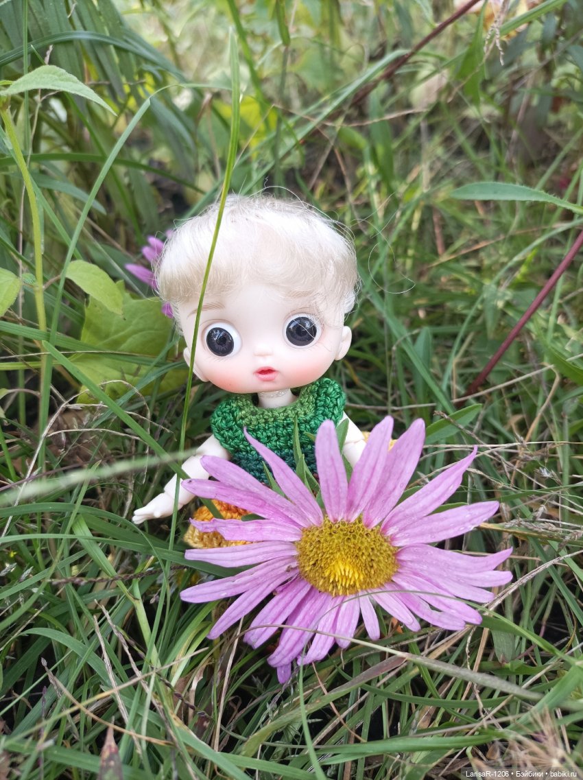 Осень в яблоках — Гибриды шарнирных кукол (не БЖД): подбор тела (фото 6)