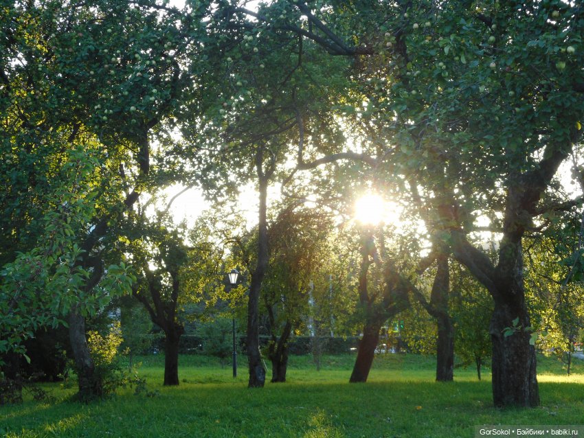 Дикие и амбициозные 1 серия